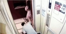 圖片4 圖片4